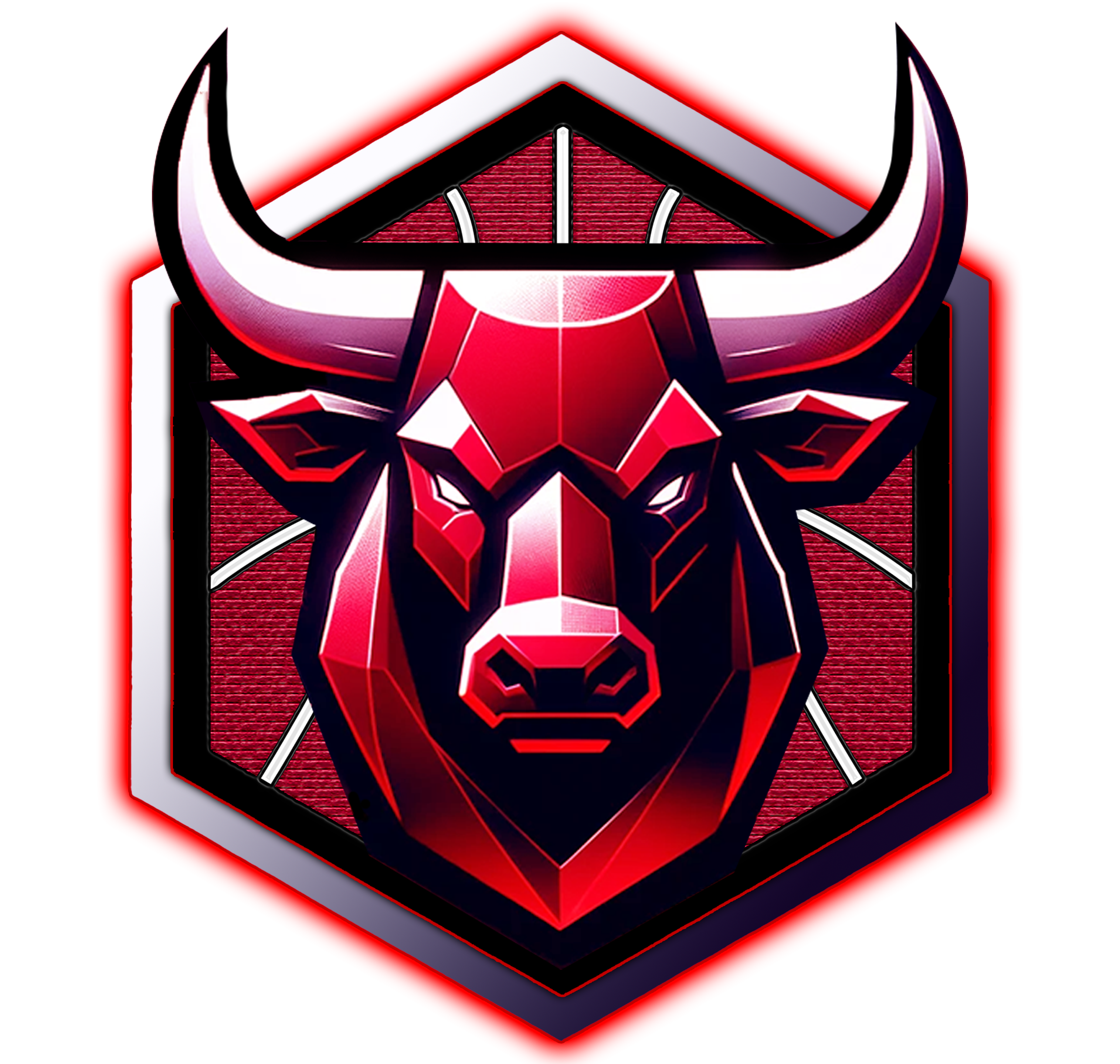 Bulls Digest